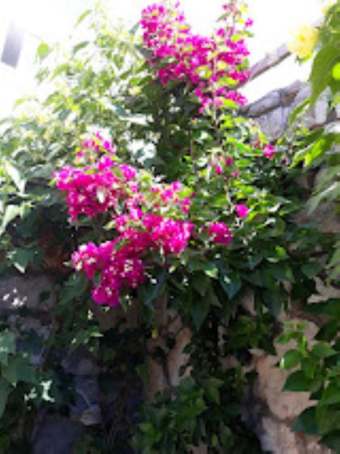 Neda Apartment มูร์แตร์ ภายนอก รูปภาพ